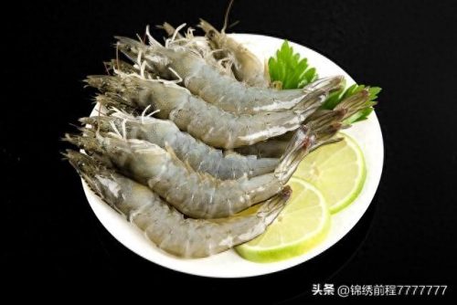海洋好吃物种排名前十(海洋十大萌物排名)插图7
