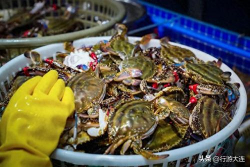 大连海鲜卖场排名前十(大连海鲜受日本辐射影响吗)插图