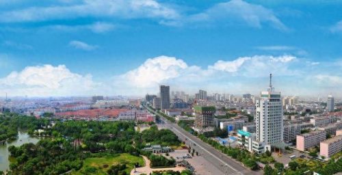 山东蔬菜各市排名前十(山东哪个市蔬菜最好)插图