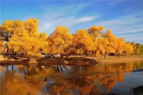 全国最美月份排名前十(2018年全国1)插图5