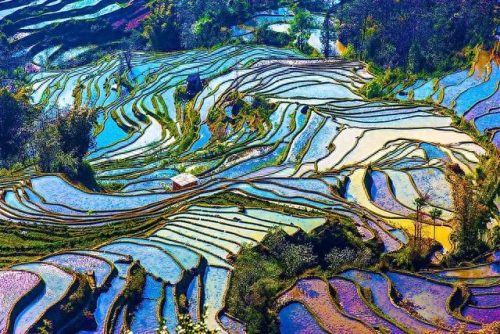 中国国土景观排名前十(油管评论中国国土面积)插图83