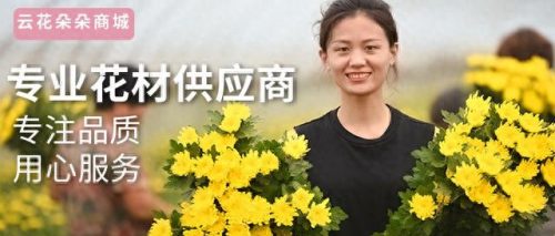 云南拿货网站排名前十(内衣拿货批发四大网站)插图