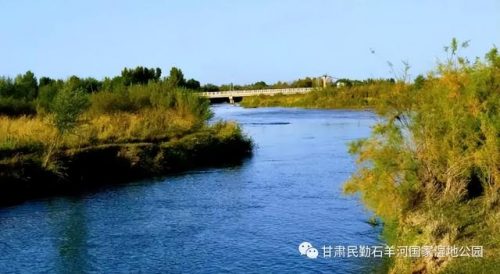 武威周边酒店排名前十(武威住宿哪里最便宜)插图76