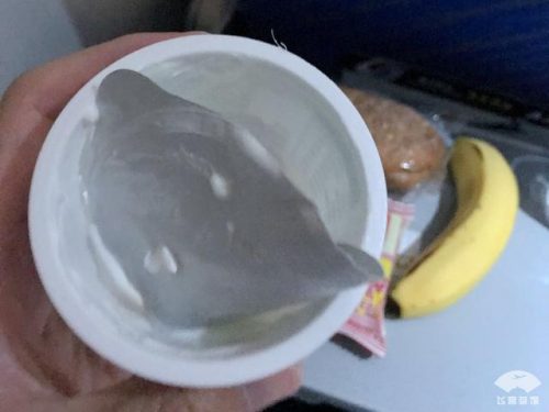 中国飞机餐点排名前十(中国飞机餐最好吃的航空公司)插图10