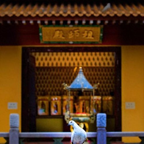海沧最美寺庙排名前十(南昌最灵的寺庙排名)插图4