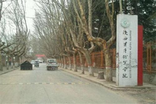 陕西国际大专排名前十(陕西公办大专全国排名)插图