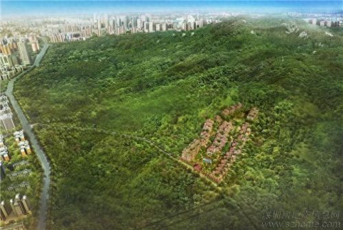 深圳底层别墅排名前十(深圳十大高端别墅区)插图13