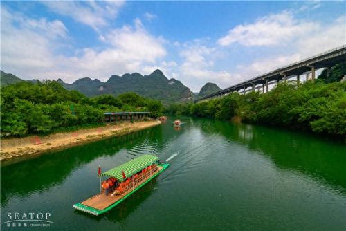 阳山出差景点排名前十(阳山小江银杏)插图4
