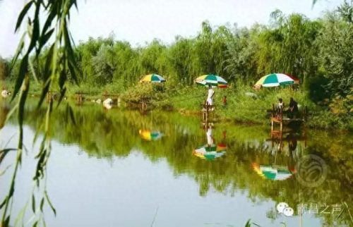 南昌室内钓场排名前十(南昌周边十大好钓场)插图8