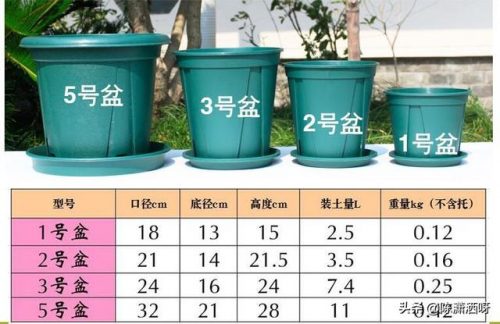 基地花盆厂家排名前十(附近的陶瓷花盆厂家)插图6