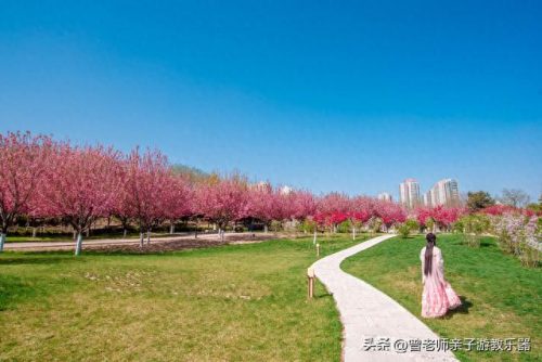 西安小吃景区排名前十(西安小吃甄糕)插图77