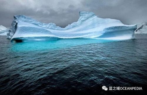 新西兰潜水公司排名前十(世界顶级潜水品牌)插图4