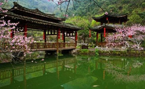 重庆长江景点排名前十(重庆长江段地图)插图50