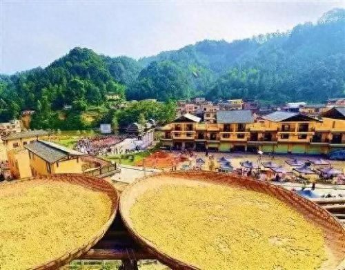 梧州乡村景区排名前十(梧州的景区排名)插图26
