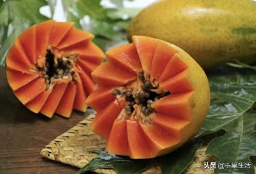 广东木瓜销量排名前十(木瓜酱菜销量最大)插图6