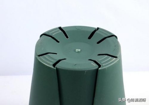 基地花盆厂家排名前十(附近的陶瓷花盆厂家)插图7