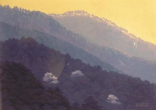 日本自然画家排名前十(日本著名十大画家)插图28