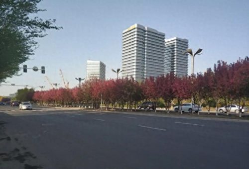 新疆高楼数量排名前十(新疆最豪华高楼)插图15
