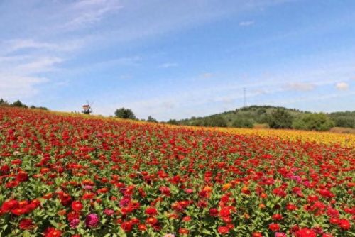 长春旅游营地排名前十(长春旅游十大排名)插图14