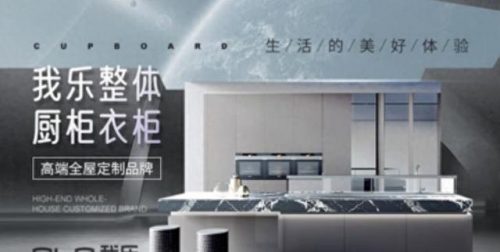 合肥厨柜公司排名前十(橱柜排名前十的品牌)插图7