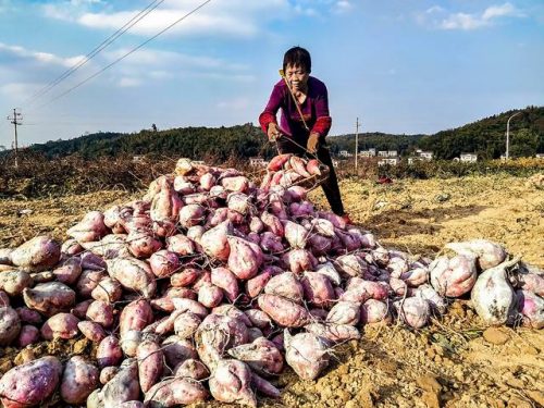 湘潭河口美食排名前十(湘潭有什么好吃的地方推荐)插图19