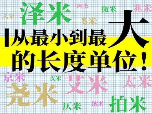 世界果皮长度排名前十(动物皮厚度排行)插图