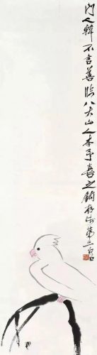 鹦鹉荔枝品种排名前十(最聪明的鹦鹉排名)插图3