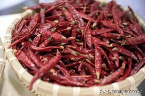 顶级辣椒品种排名前十(辣椒品种一览表)插图7