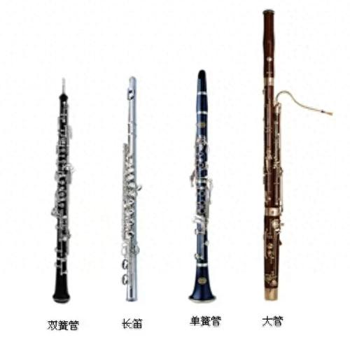 官方礼仪乐队排名前十(平昌礼仪乐队)插图1