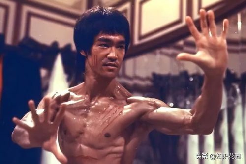 世界武术比武排名前十(全球武术排名)插图7