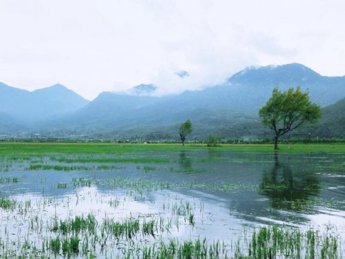 丽江最美建筑排名前十(丽江必去景点)插图38