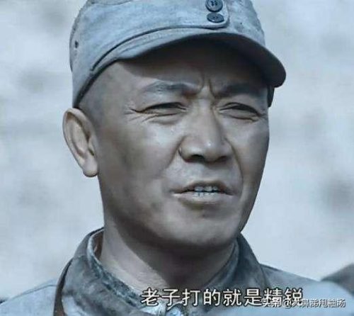 国内硬汉节目排名前十(好莱坞动作巨星硬汉排行榜)插图5