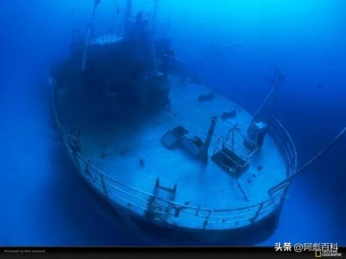 最贵游戏金币排名前十(世界十大金币)插图7