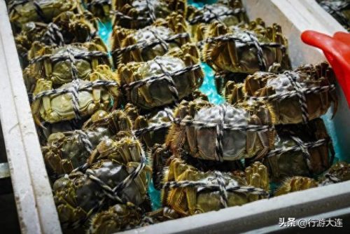 大连海鲜卖场排名前十(大连海鲜受日本辐射影响吗)插图13