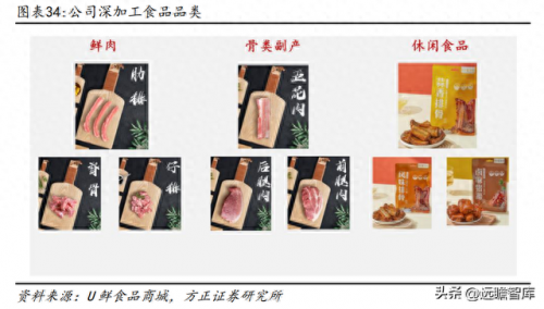 湖南仔猪产地排名前十(辽宁朝阳仔猪产地)插图27