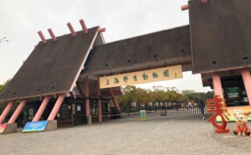 上海溜达景点排名前十(上海景点十大排名榜)插图30