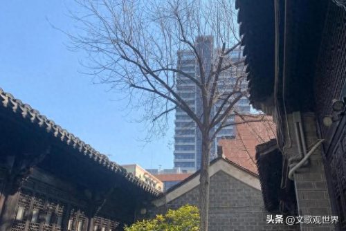 合肥复古豪宅排名前十(合肥最好的豪宅在哪里)插图6