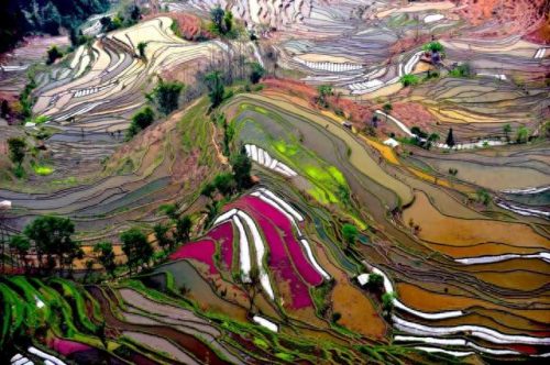 中国国土景观排名前十(油管评论中国国土面积)插图84