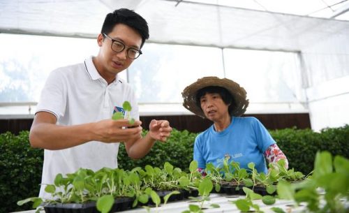 香港蔬菜工厂排名前十(香港蔬菜哪里提供)插图6