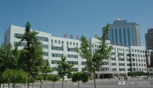 锦州黑山小学排名前十(锦州市哪个小学最好)插图1