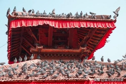 新乡排名前十的景区(新乡景区有哪些景点推荐)插图6