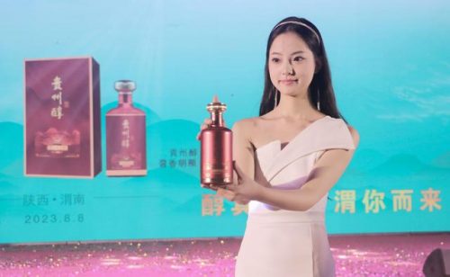 贵州砝码工厂排名前十(贵州有什么好工厂)插图10