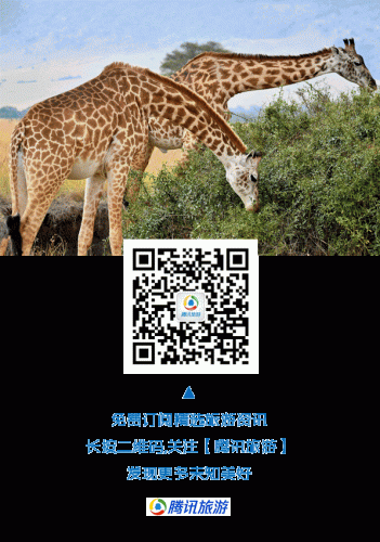 波密民间歌手排名前十(街头歌手十大排名)插图11