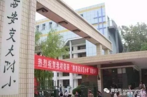 西安小学教科书排名前十(西安买学生用书在哪买)插图6