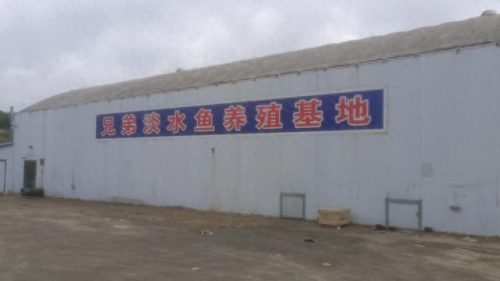 大连垂钓平台排名前十(大连最佳口碑垂钓场)插图