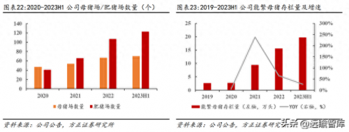 湖南仔猪产地排名前十(辽宁朝阳仔猪产地)插图18