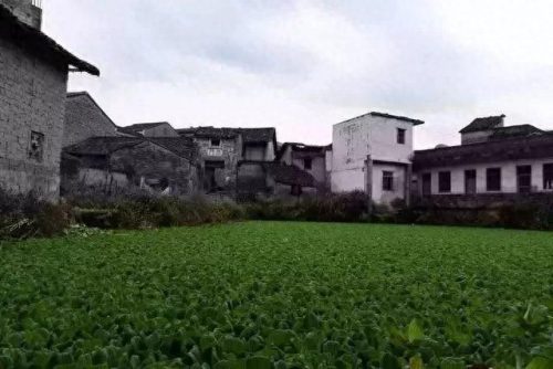 梧州乡村景区排名前十(梧州的景区排名)插图17
