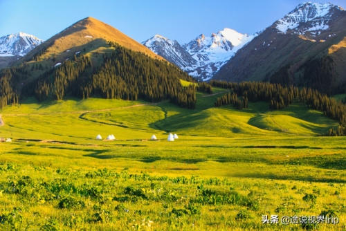 新疆各地草场排名前十(新疆草场政府每年都会给多少钱)插图17