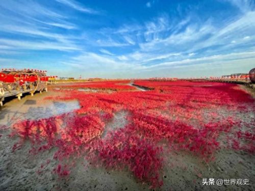 海洋最美地方排名前十(国内哪里的海边最美)插图1