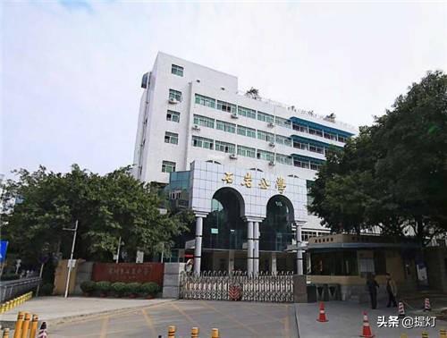 深圳养蚕企业排名前十(浙江养蚕基地)插图3